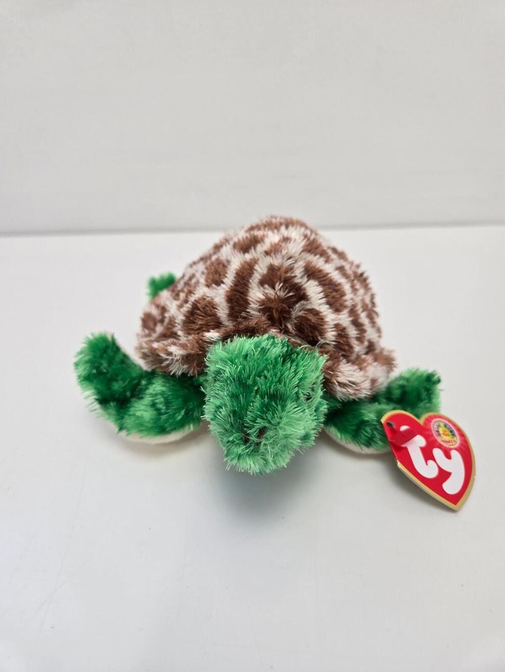 Ty Beanie Baby “Tortuga” the Turtle - Beanie Baby of the Month (6 inch)